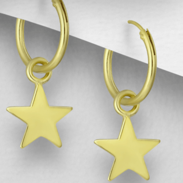 Hoop and Star Earrings